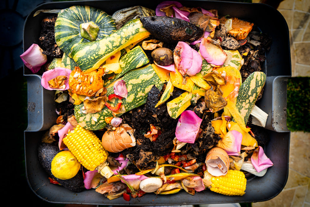 The Ultimate Guide to Starting a Compost Bin