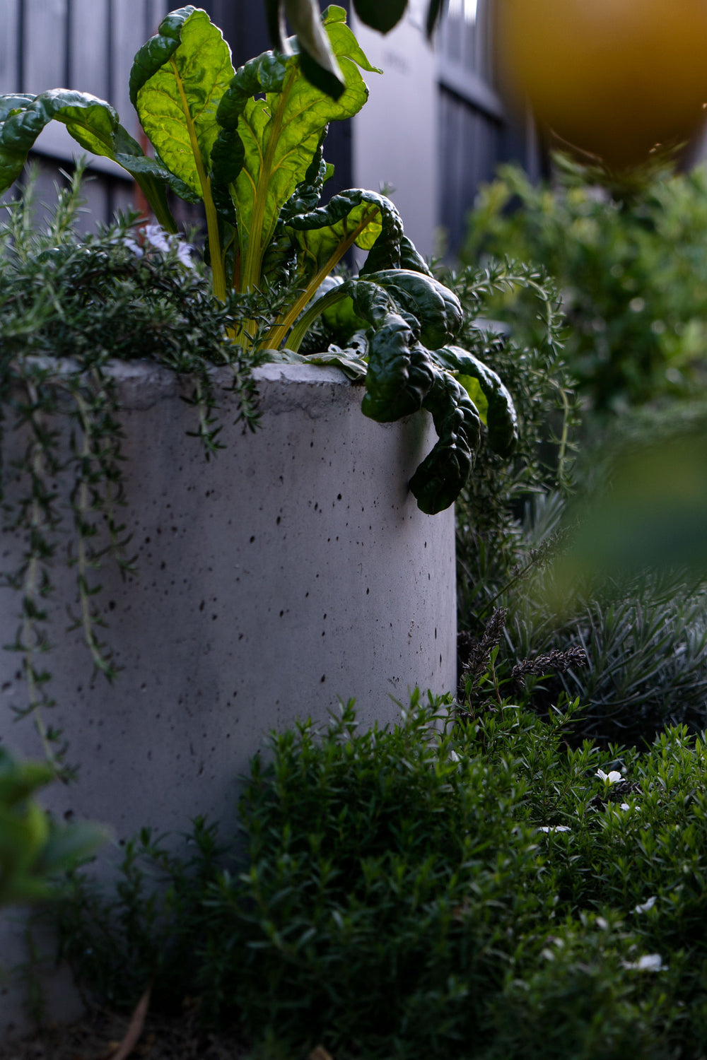 Concrete Planter - Large